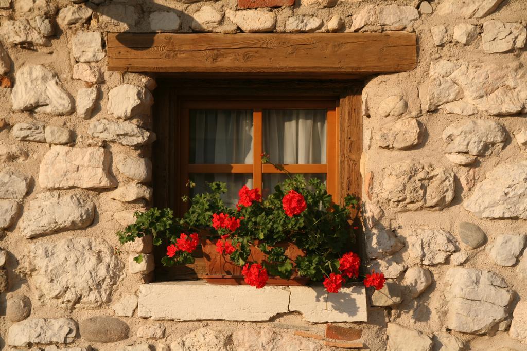 Agriturismo Al Picchio Villa Ala Exterior foto